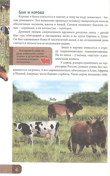 ЭНЦИКЛОПЕДИЯ. В МИРЕ ЗНАНИЙ. ДОМАШНИЕ ЖИВОТНЫЕ - фото 2