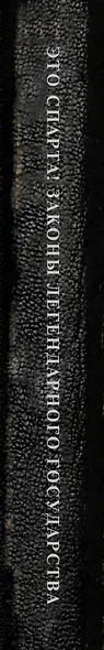 Это Спарта! Законы легендарного государства - фото 9