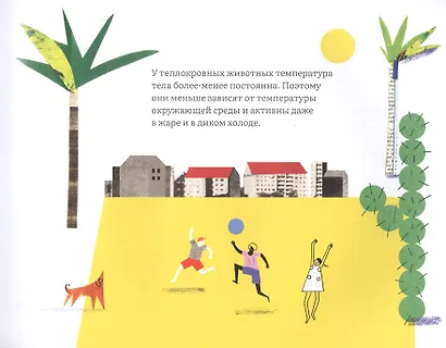 Куда скачет температура? - фото 3