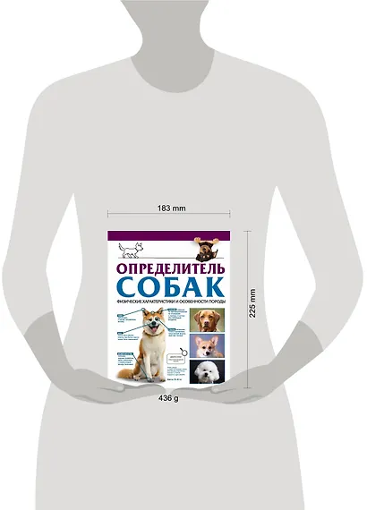 Определитель собак. Физические характеристики и особеннности породы - фото 4