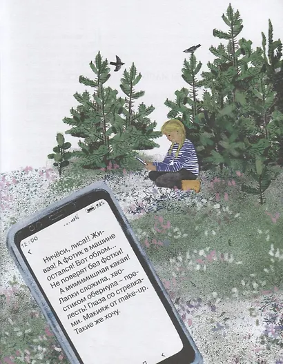 На Север. Путешествие всед за чайкой - фото 5