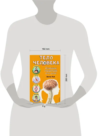 Тело человека. Домашняя лаборатория для детей - фото 11