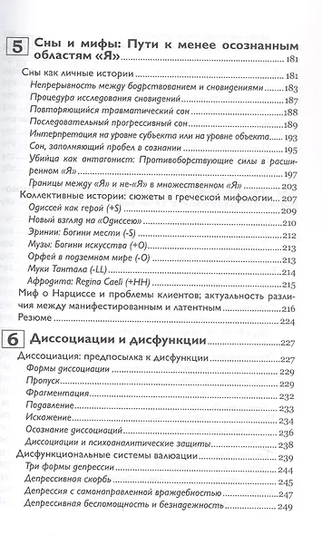 Self-Narratives. Самоописание. Конструирование значений в психотерапии - фото 5