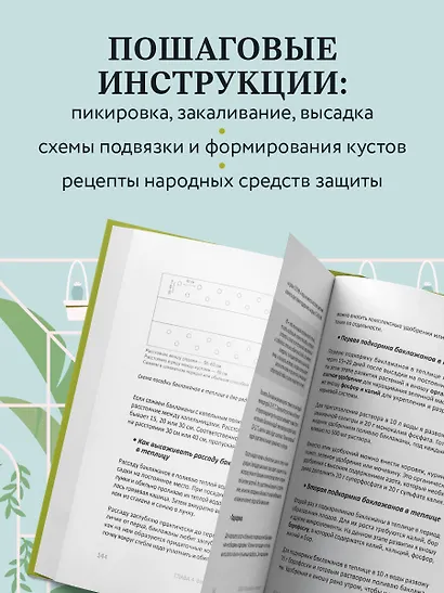Теплица без ошибок. Все, что нужно знать, чтобы получить ранний и богатый урожай - фото 7