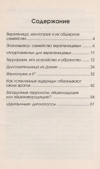 Веретеница, желтопузик и другие веретеницевые. - фото 2