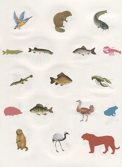 Животные России. Познавательные наклейки - фото 3