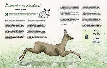 Наши соседи по планете. Рассказы о диких животных - фото 2