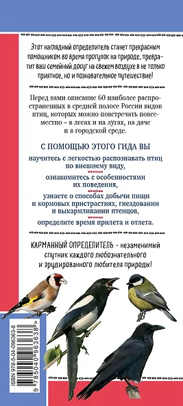 Птицы России. Наглядный карманный определитель (для ПР) - фото 2