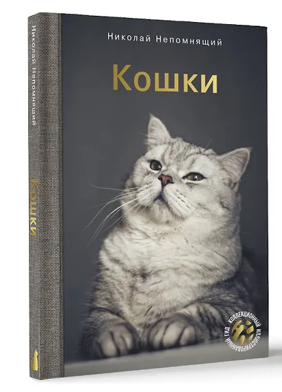 Кошки - фото 3