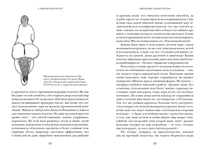Связанные одной нитью: Женщины, ткань и общество в Древнем мире. Первые 20 000 лет - фото 11