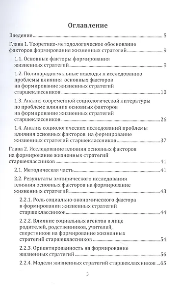 Факторы формирования жизненных стратегий старшеклассников. Монография - фото 2
