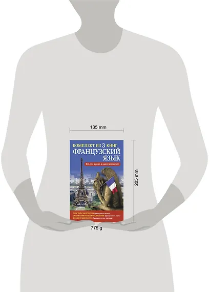 Французский язык. Всё, что нужно в одном комплекте - фото 3