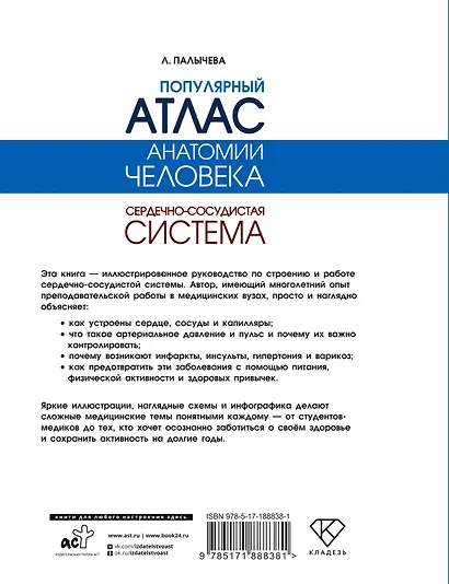 Популярный атлас анатомии человека. Сердечно-сосудистая система - фото 2