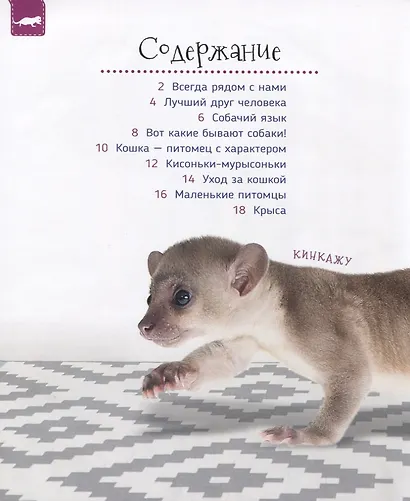 Домашние питомцы - фото 2