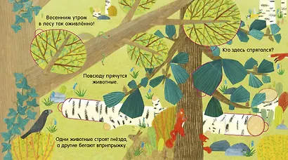 Книжка с окошками. В лесу - фото 4