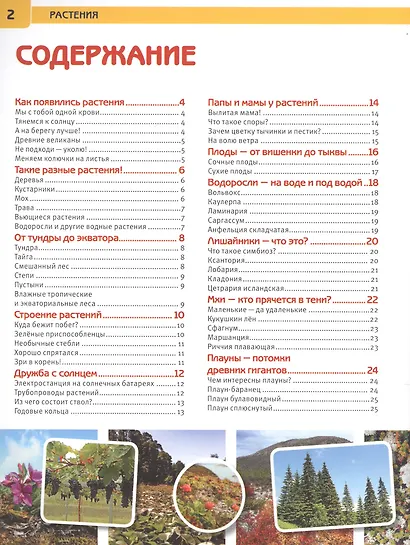 Растения. Энциклопедия с развивающими заданиями - фото 2