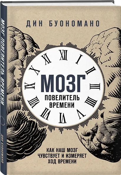 Мозг - повелитель времени. Как наш мозг чувствует и измеряет ход времени. - фото 3