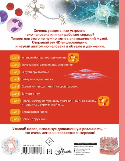 Тело человека - фото 2