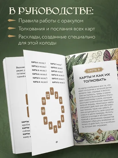 Зеленая ведьма. Колода-оракул. Откройте для себя силу и мудрость природной магии (50 карт и руководство) - фото 7