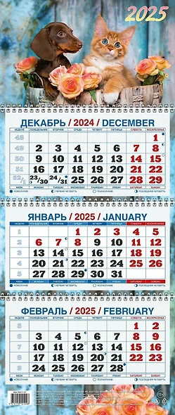 Календарь квартальный 2025г 195*465 "КОТЁНОК И ЩЕНОК" настенный, трёхблочный, спираль - фото 1