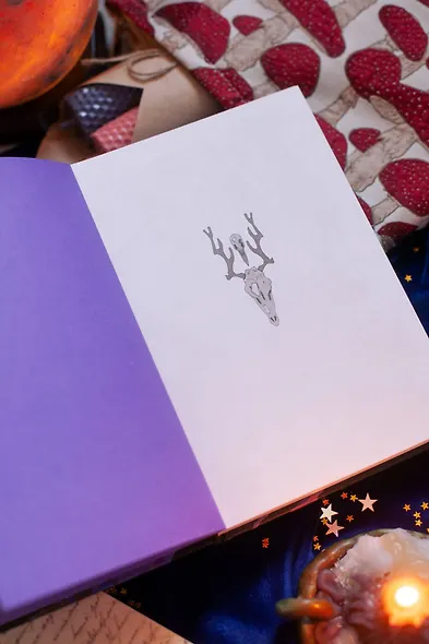 От Руси до России - фото 13