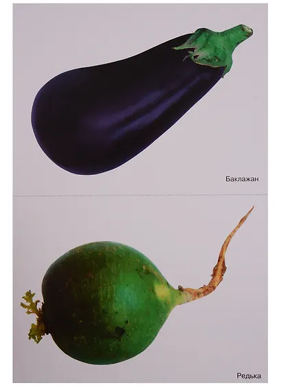 ФГОС Мир в картинках. Овощи. - фото 4