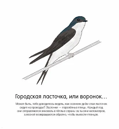 Где они живут? - фото 5