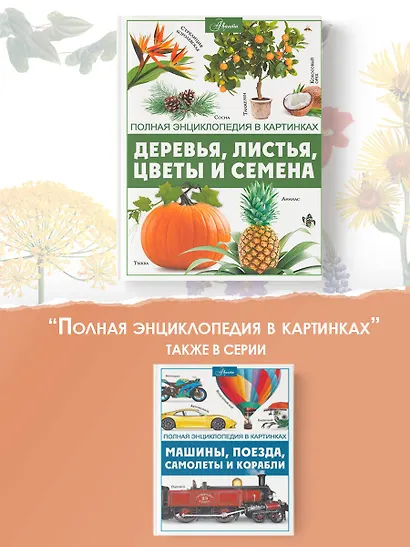 Деревья, листья, цветы и семена - фото 6