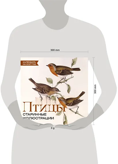 Птицы. Старинные иллюстрации. Календарь на 2027 год - фото 4