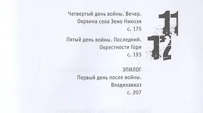 Пятидневная война - фото 3