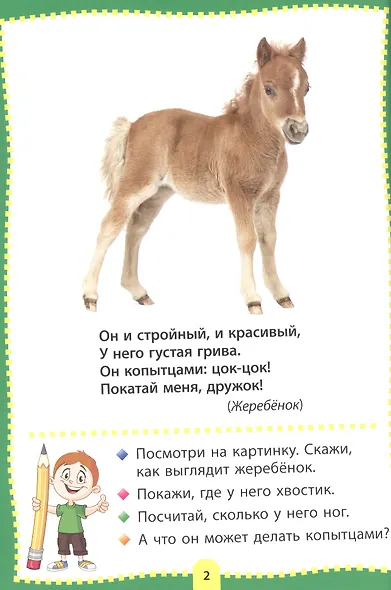 Загадки о зверятах. Фотокнига для самых маленьких - фото 2