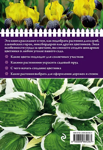 Лучшие цветы для солнца и тени - фото 2