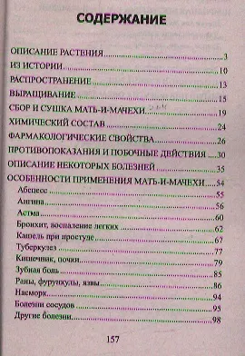 Мать-и-мачеха - фото 2