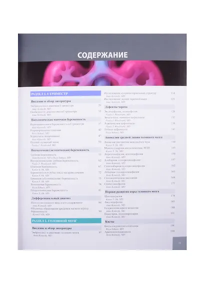 Диагностическая визуализация УЗИ в акушерстве - фото 2