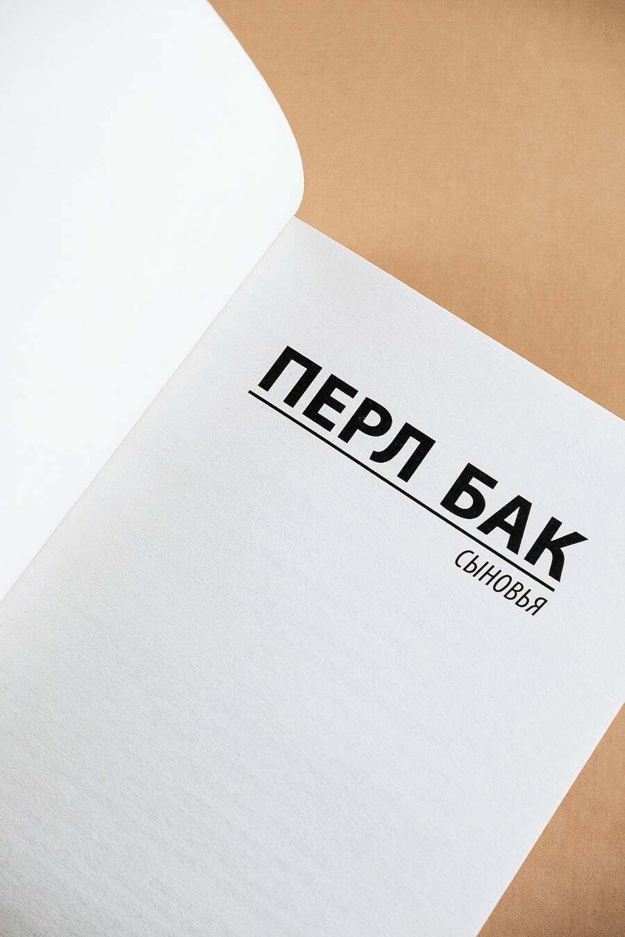 Сыновья - фото 6