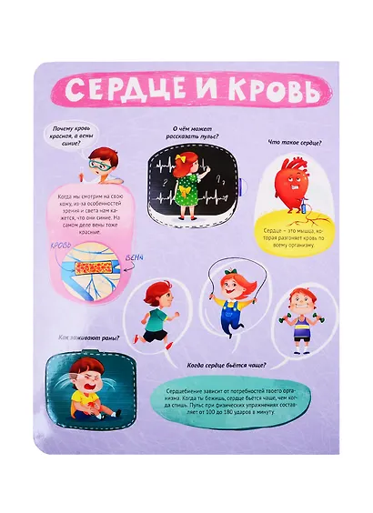 Тело человека. Книжка с окошками - фото 5