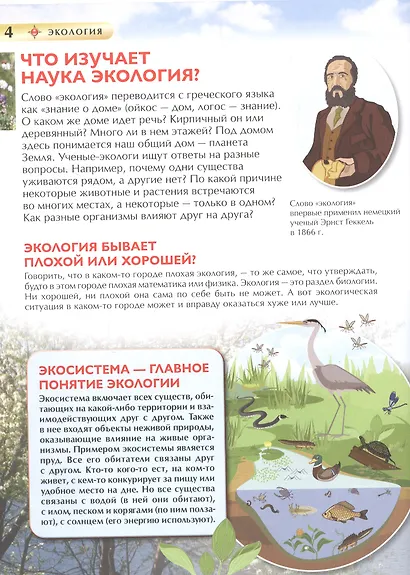 Экология. Детская энциклопедия - фото 4