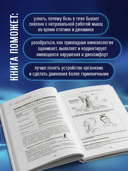 Прикладная кинезиология. Восстановление тонуса и функций скелетных мышц - фото 6