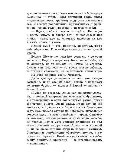 Матрёнин двор. Один день Ивана Денисовича - фото 8