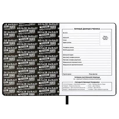 Дневник шк. "Нельзя не бывает" кожзам, тв.переплёт, аппликация, шелкография в одну краску, одно ляссе, загругл.углы, пантон, универс.шпаргалка, брелок из атласн.ленты - фото 4