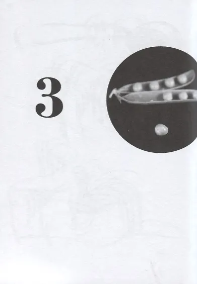 Техники рисования. Тренируем восприятие и осваиваем интуитивное рисование - фото 4