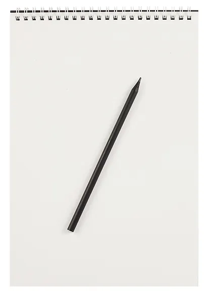 Скетчбук А4 20л "Аисты" акварел. бумага, 200г/м2, черный тонир.картон, тиснение фольг. серебро, евроспираль - фото 3