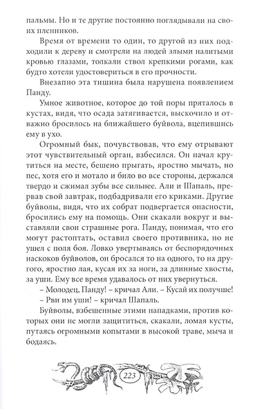 Капитан "Ямуны" - фото 5