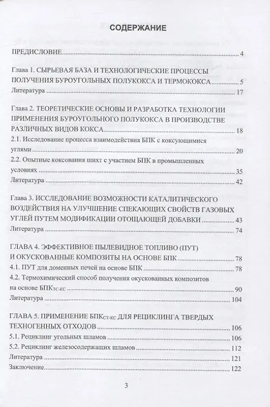 Основы теории и практики и использования буроугольного полукокса в технологических процессах и рециклинге твердых отходов - фото 2