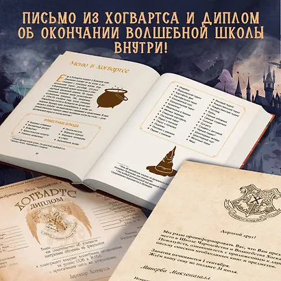 Комплект из 2 книг. Гарри Поттер фанбук. Северус + Я получил сову! (ИК) - фото 6