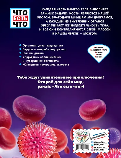 ЧЕЛОВЕК. Взгляд внутрь - фото 2