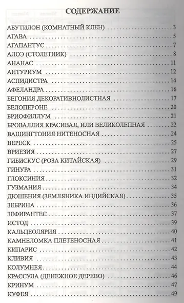 Домашние цветы, за которыми легко ухаживать в вопросах и ответах - фото 2