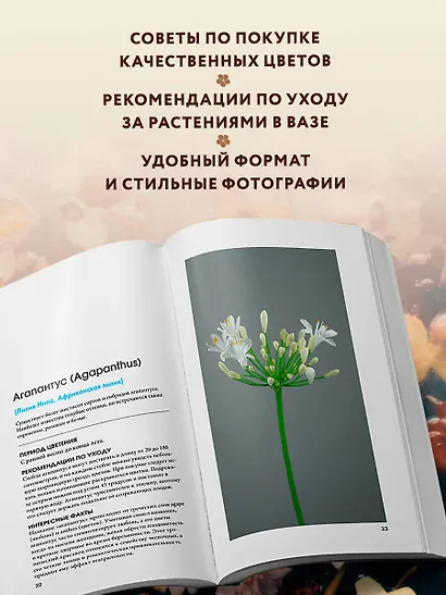 Цветы для букета. Справочник срезанных цветов для начинающего флориста. Что и когда покупать и как продлить цветам жизнь - фото 5