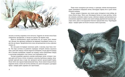 Рассказы о животных (ил. В. Канивца) - фото 4