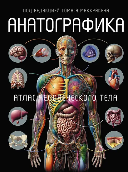 Анатографика - фото 1